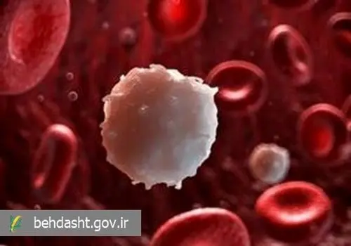 ارتش ما برای بدترین سناریوها آماده است