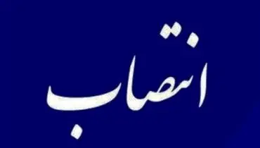 «طاهره چنگیز» معاون آموزشی وزارت بهداشت شد