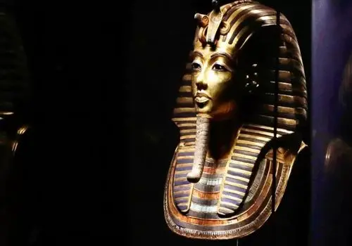 جاذبه‌ای متفاوت در موزه مصر؛ وقتی سگ‌های ولگرد خبرساز شدند