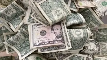 قیمت دلار امروز در بازار آزاد جمعه ۲۵ مهر1404+جزییات