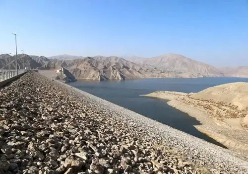 گربه جاسوس سیا: مأموریت ۲۰ میلیون دلاری که با تصادف پایان یافت!