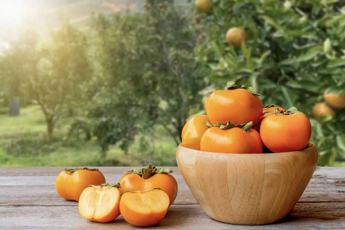 چه کسانی نباید خرمالو بخورند؟
