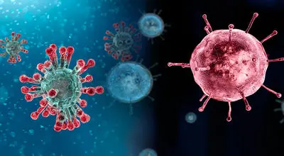 تنها راه پیشگیری از آنفولانزا چیست؟
