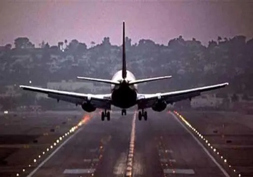 حضور گراز در فرودگاه مسافران هواپیما را شوکه کرد+ فیلم