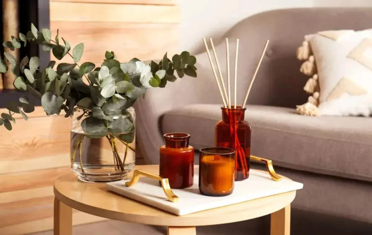 چطور همیشه خانه‌ای خوشبو  و تمیز داشته باشیم؟

