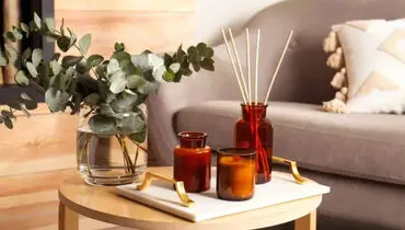چطور همیشه خانه‌ای خوشبو  و تمیز داشته باشیم؟

