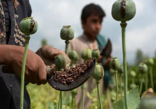 نخستین مرکز فروش غیرحضوری دارو و تجهیزات پزشکی ایران در پخش رازی آغاز به کار کرد