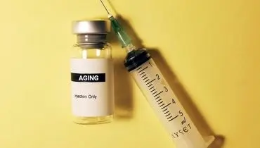 درمان ضدپیری که موش‌ها را جوان‌تر کرد!