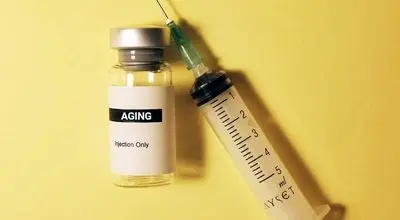 درمان ضدپیری که موش‌ها را جوان‌تر کرد!