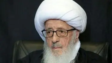 شایعات درگذشت آیت‌الله وحید خراسانی تکذیب شد

