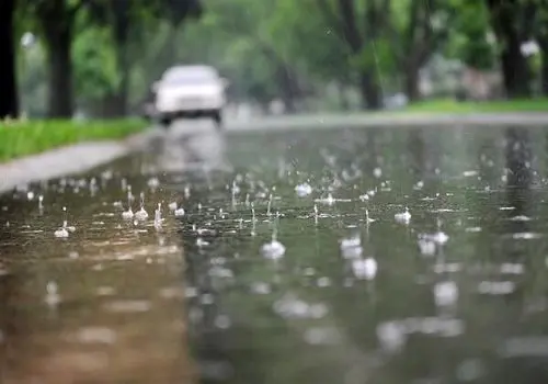 بارش باران در گیلان رکورد زد