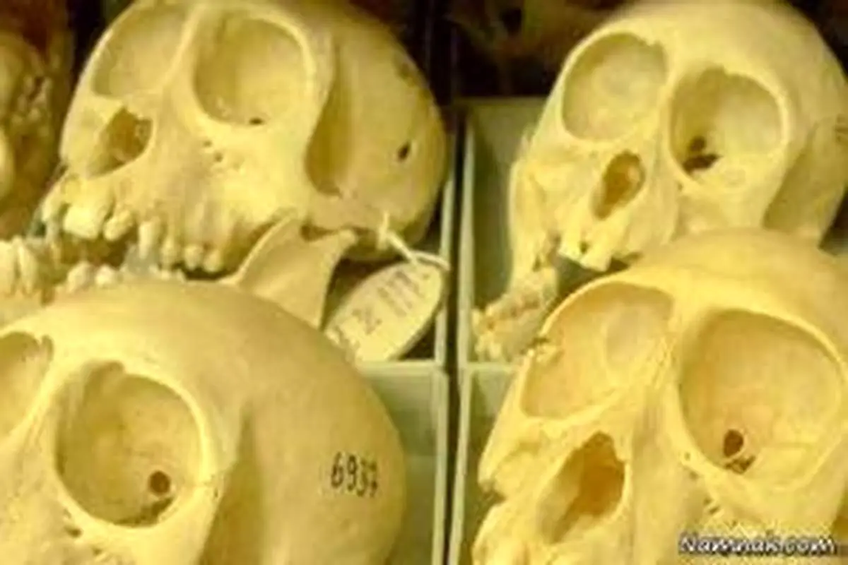 «سحابی جمجمه» در دل آسمان تاریک +عکس