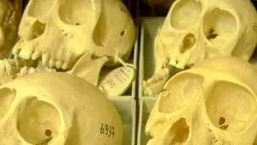 «سحابی جمجمه» در دل آسمان تاریک +عکس