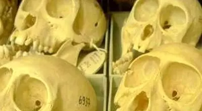 «سحابی جمجمه» در دل آسمان تاریک +عکس