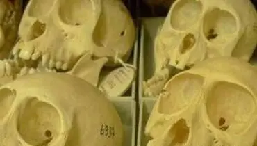 «سحابی جمجمه» در دل آسمان تاریک +عکس