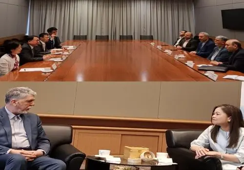 پیام تسلیت معاون وزیر فرهنگ و ارشاد اسلامی در پی درگذشت استاد ابوالقاسم قاسم‌زاده