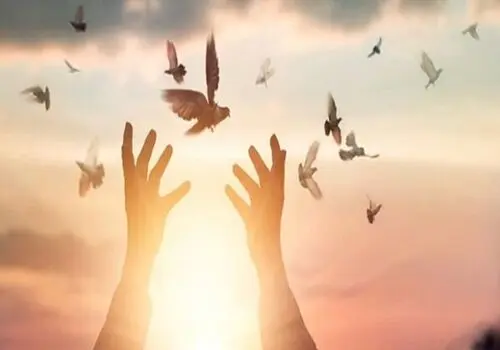 حکم مهدی یراحی اعلام شد+جزئیات