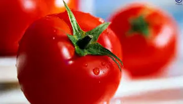 قیمت گوجه‌فرنگی سر به فلک کشید+جدول قیمت میوه و صیفی‌جات
