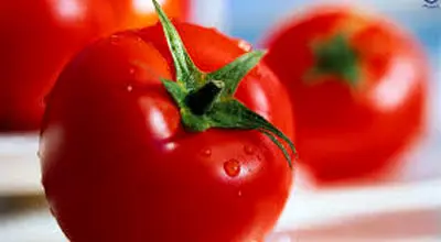 قیمت گوجه‌فرنگی سر به فلک کشید+جدول قیمت میوه و صیفی‌جات