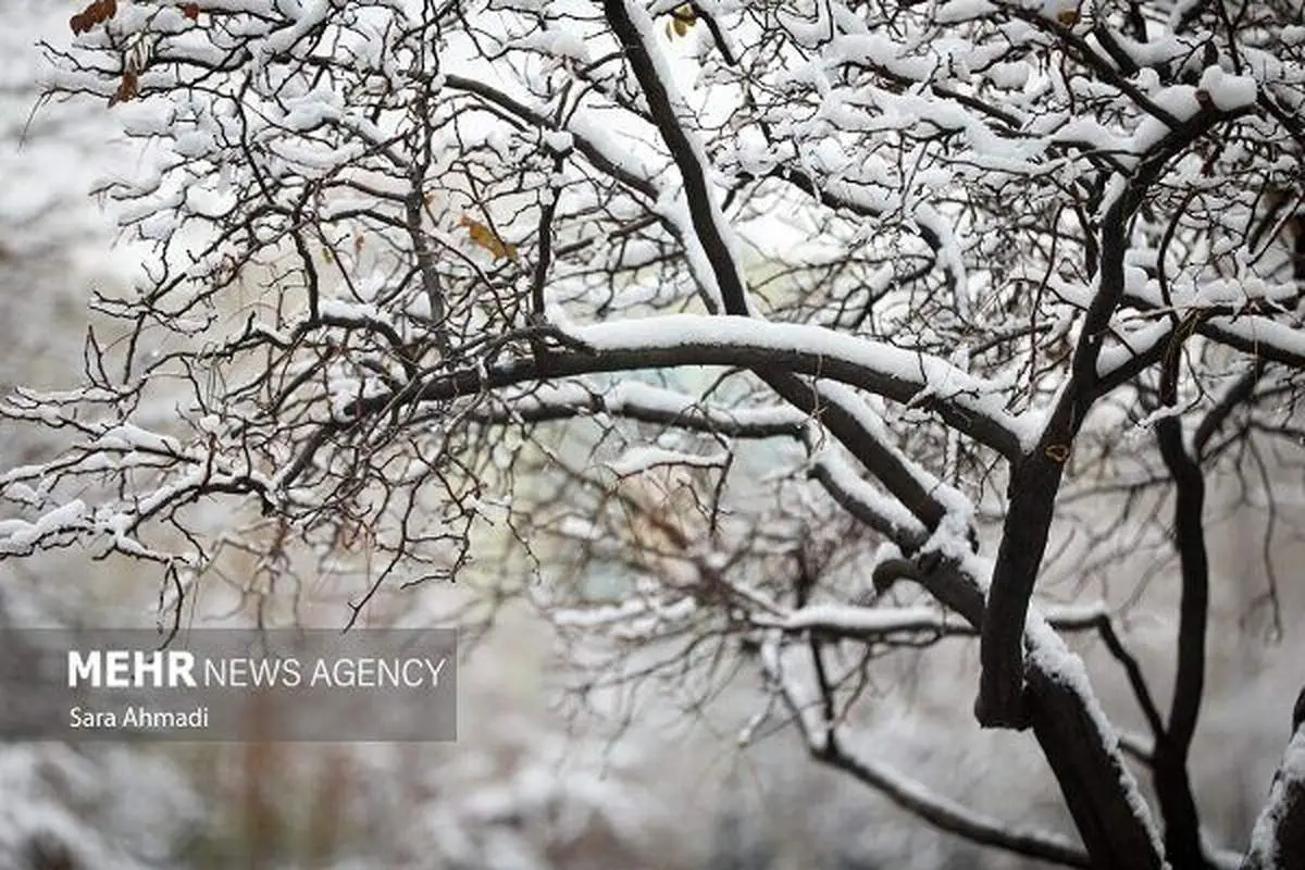 اطلاعیه مهم سازمان هواشناسی/ برف و باران به کدام استان‌ها می‌رسد؟
