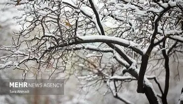 اطلاعیه مهم سازمان هواشناسی/ برف و باران به کدام استان‌ها می‌رسد؟
