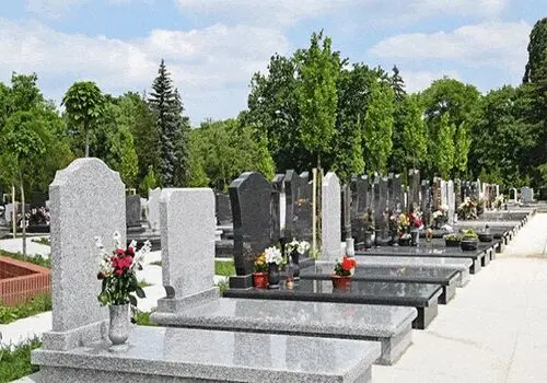صحنه هایی جالب از تیک اف تماشایی میگ ۱۷ و میگ ۲۹ + فیلم