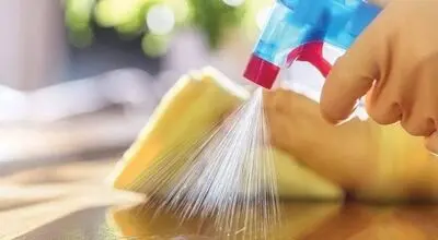 پاک‌کننده‌های معطر چقدر برای هوای خانه مضرند؟