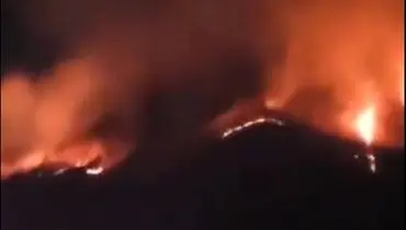 آتش‌سوزی گسترده در کره جنوبی ده‌ها هکتار را به خاکستر تبدیل کرد+فیلم