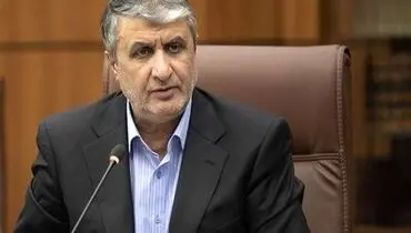 محمد اسلامی: نگرانی‌ غرب از توسعه یافتن ایران در حوزه هسته‌ای است