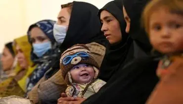 آمار عجیب اتباع افغانستانی ساکن در کرمان
