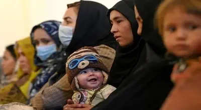 آمار عجیب اتباع افغانستانی ساکن در کرمان
