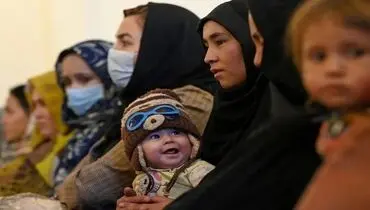 آمار عجیب اتباع افغانستانی ساکن در کرمان
