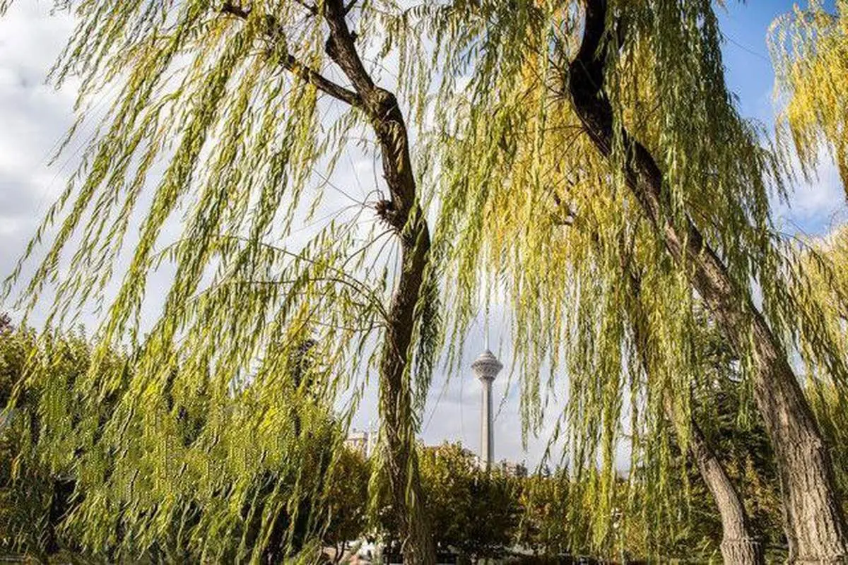خبر ناخوشایند هواشناسی برای مردم تهران
