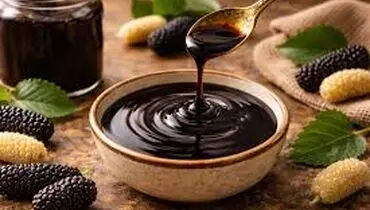 بهترین ترکیبات برای مصرف با شیره توت
