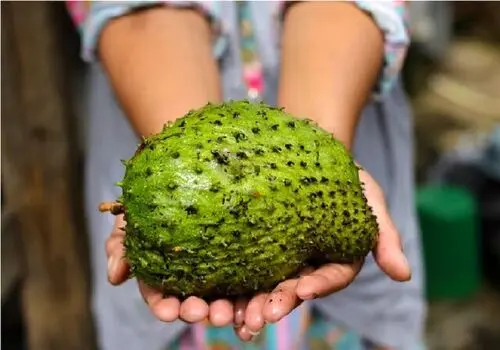 ۸ ویژگی آب تره که نمی دانستید