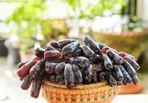 طرز تهیه مربای انگور بدون شکر (انگور خمس گیلانی)
