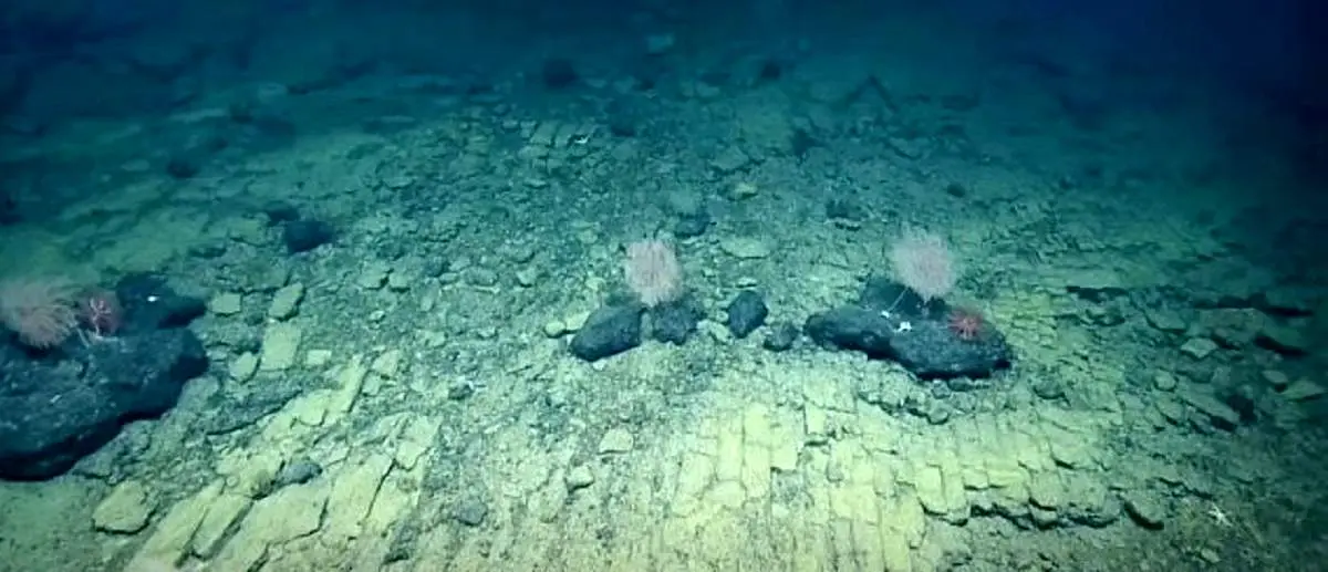 کشف جادۀ زرد آجری در اعماق اقیانوس

