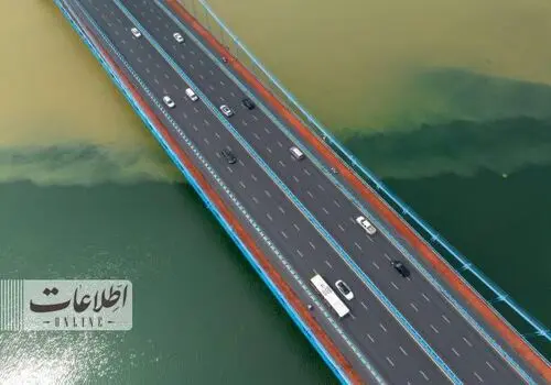 قابلیت خارق العاده گوزن شمالی برای تغیر رنگ چشمش+ تصاویر