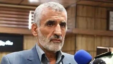 رئیس ستاد اربعین: ارز مسافرتی برای اربعین پیش بینی شده است+ فیلم