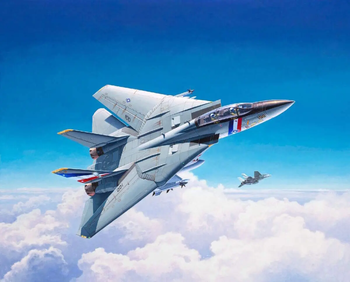 جنگنده زیبای F-14A ملقب به تامکت نیروی هوایی ایران + فیلم