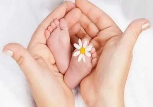 بیان دیدگاه‌ها و نقطه‌نظرات 24 نفر از مدیران رسانه‌های کشور در حضور قاضی‌القضات