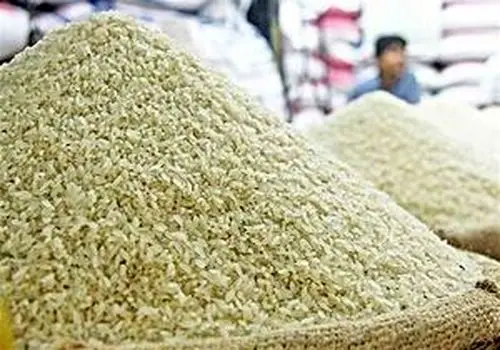 
آغاز  ترخیص برنج های وارداتی 
