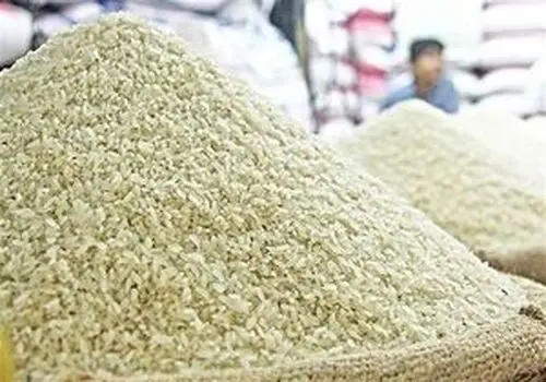 قیمت برنج به شدت عجیب شد