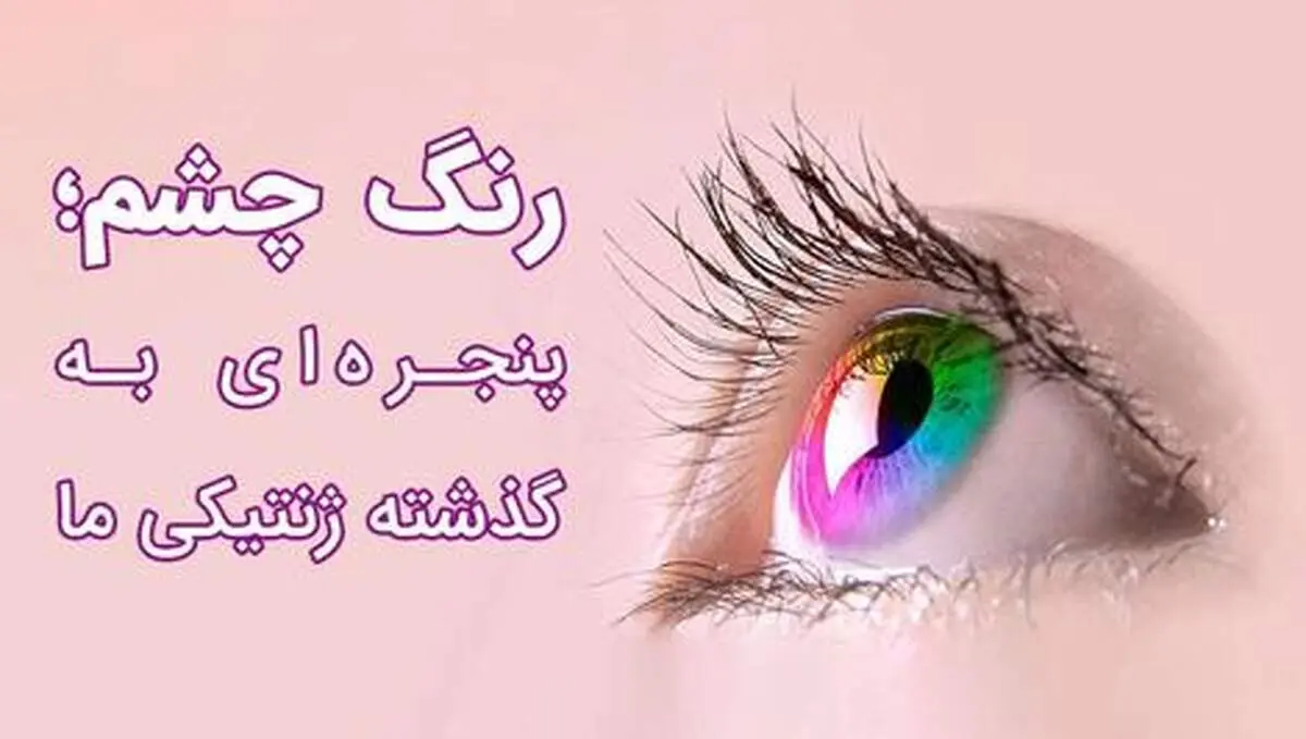 جمعیت چشم رنگی های کره زمین!+ اینفوگرافیک
