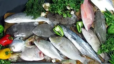 با ده میلیون ریال چقدر غذای دریایی میتوان خرید؟+فیلم