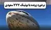 لحظه برخورد پرندگان با بوئینگ ۷۷۷ عربستان/ویدیو