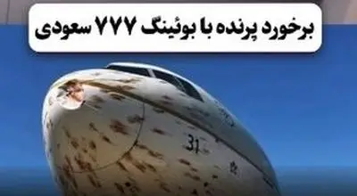 لحظه برخورد پرندگان با بوئینگ ۷۷۷ عربستان/ویدیو