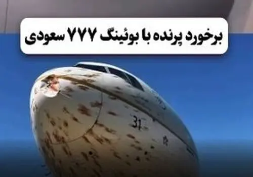 کاهش محسوس جمعیت گنجشک‌ها در تهران