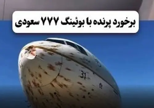 لحظه برخورد پرندگان با بوئینگ ۷۷۷ عربستان/ویدیو 