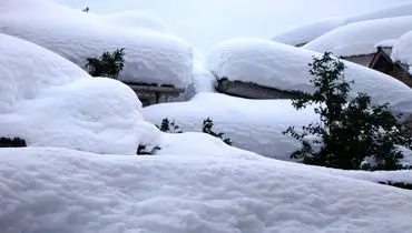 پیش بینی غیر منتظره بارش برف در این استان
